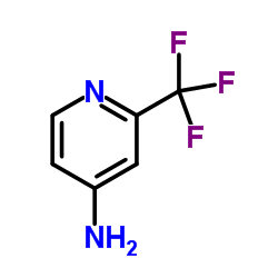 2-三氟甲基-4-氨基吡啶