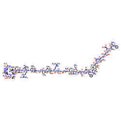 α-CGRP, rat