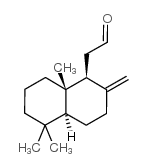 龙涎酮