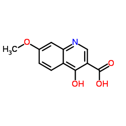 4-羟基-7-甲氧基喹啉-3-羧基 酸