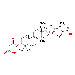 3α-羧基乙酰氧基-24-亚甲基-23-氧代羊毛甾-8-烯-26-酸