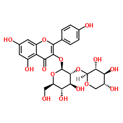 堪非醇3-O-桑布双糖苷