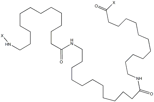 尼龙 12