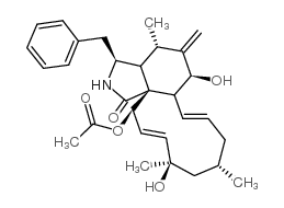 细胞松驰素 H