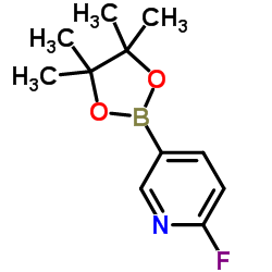 2-氟吡啶-5-硼酸频哪醇酯