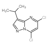 5,7-二氯-3-异丙基吡唑并[1,5-a]嘧啶