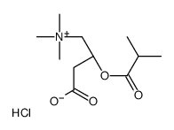 Isobutyryl-L-carnitine chloride