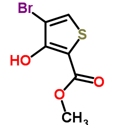 4-溴-3-羟基噻吩-2-羧酸甲酯