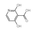 1,2-二氢-4-羟基-2-氧代-3-吡啶羧酸