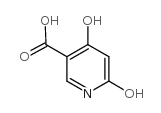 4,6-二羟基烟酸