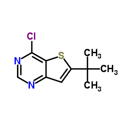 6-(叔丁基)-4-氯噻吩并[3,2-d]嘧啶