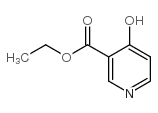 4-羟基烟酸乙酯