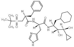 瑞米吉仑