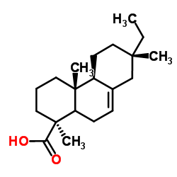 Dihydroisopimaric acid