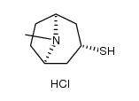 外-托品-3-硫醇盐酸盐