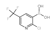 2-氯-5-三氟甲基吡啶-3-硼酸