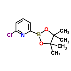 2-氯-6-(4,4,5,5-四甲基-1,3,2-二氧硼杂环戊烷-2-基)吡啶