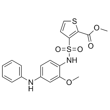 3-(N-(2-甲氧基-4-(苯氨基)苯基)氨磺酰基)噻吩-2-羧酸甲酯