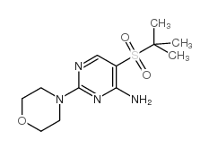 5-(叔丁基磺酰基)-2-吗啉嘧啶-2-胺