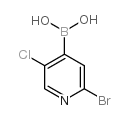 2-溴-5-氯吡啶-4-硼酸