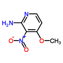 4-甲氧基-3-硝基吡啶-2-胺