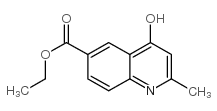 2-甲基-4-羟基-6-喹啉甲酸乙酯