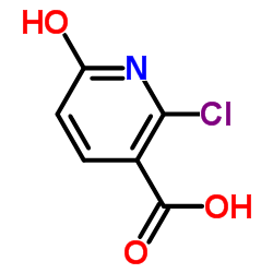 2-氯-6-羟基烟酸