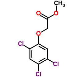 2,4,5-T 甲基酯
