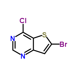 6-溴-4-氯噻吩[3,2-D]嘧啶