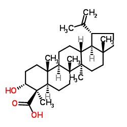 Lupeolic acid