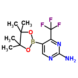 2-氨基-4-三氟甲基嘧啶-5-硼酸频哪醇酯