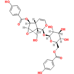 6'-O-对羟基苯甲酰梓苷