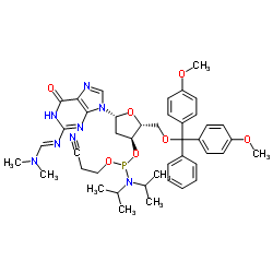 DMT-dG(dmf) 亚磷酸酰胺