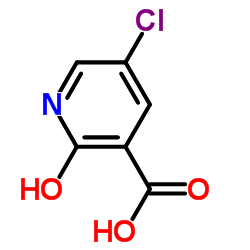 5-氯-2-羟基烟酸