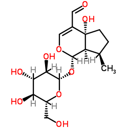 yuheinoside