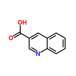 喹啉-3-羧酸