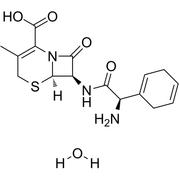 头孢拉定一水合物