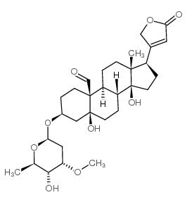 毒毛旋花苷K