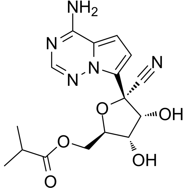 SHEN26