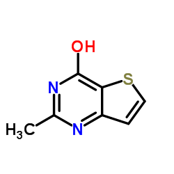 2-甲基噻吩并[3,2-d]嘧啶-4(3H)-酮