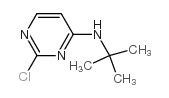 2-氯-N-(1,1-二甲基乙基)-4-氨基嘧啶