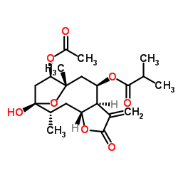 1-乙酰基掬万寿局素 A