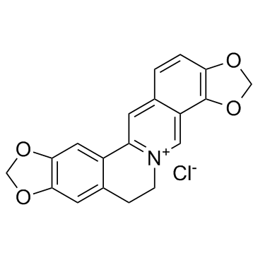 盐酸黄连碱