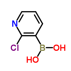 2-氯吡啶-3-硼酸