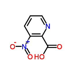 2-羧酸-3-硝基吡啶