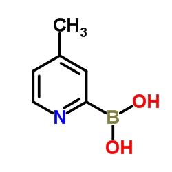 4-甲基吡啶-2-硼酸