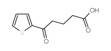 5-氧-5-(2-噻吩基)戊酸