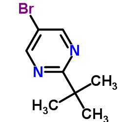 5-溴-2-叔丁基嘧啶