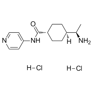 Y-27632 2HCl