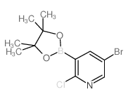 5-溴-2-氯吡啶-3-硼酸频哪酯